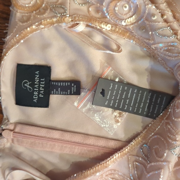 Adrianna Papell Beaded Chiffon Flowy Formal Maxi Gown Neutral Blush  NWT Sz 10 - Picture 6 of 8